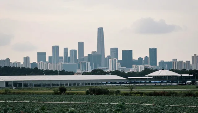 基础版提示词生成器的适用条件与选择依据