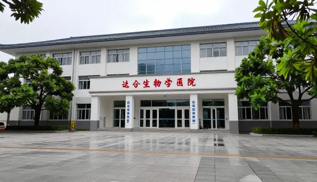 道歉信提示词：如何用土味情话挽回感情